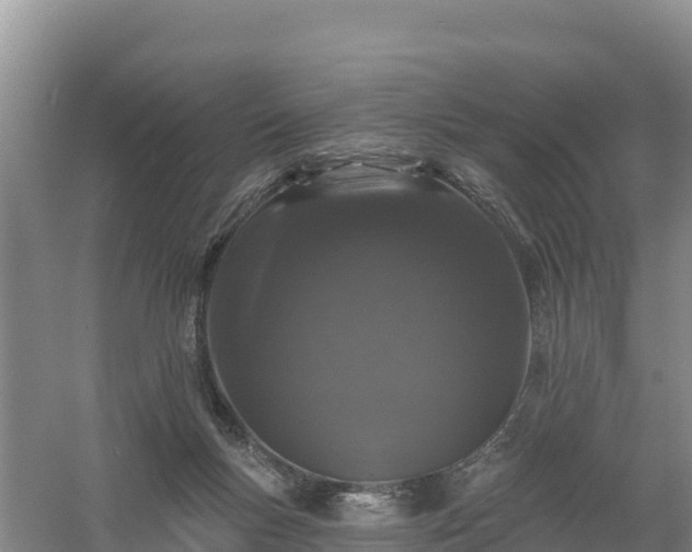 X0000058140167200509302028