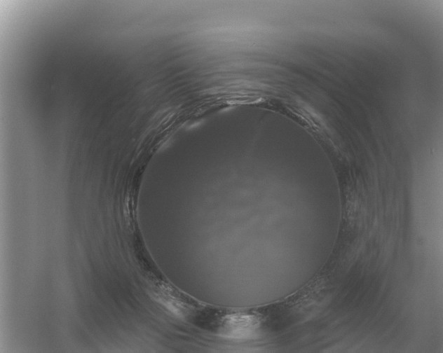 X0000058140169200509302028