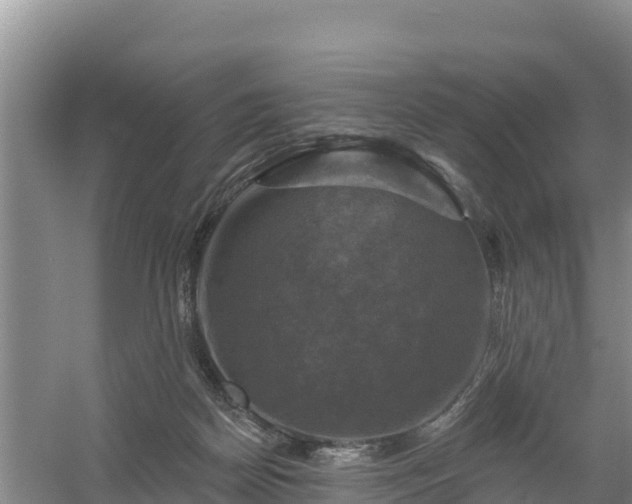 X0000058140170200509302028