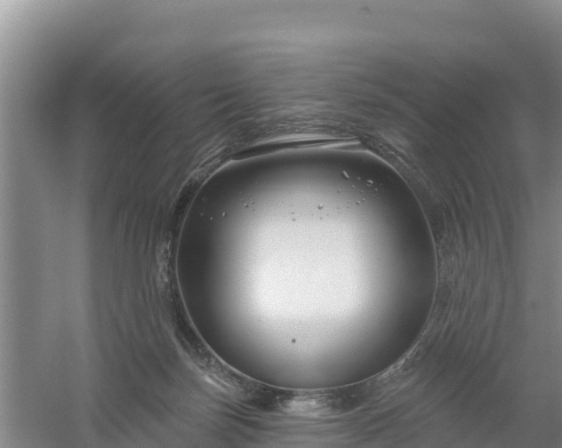 X0000058140171200509302028