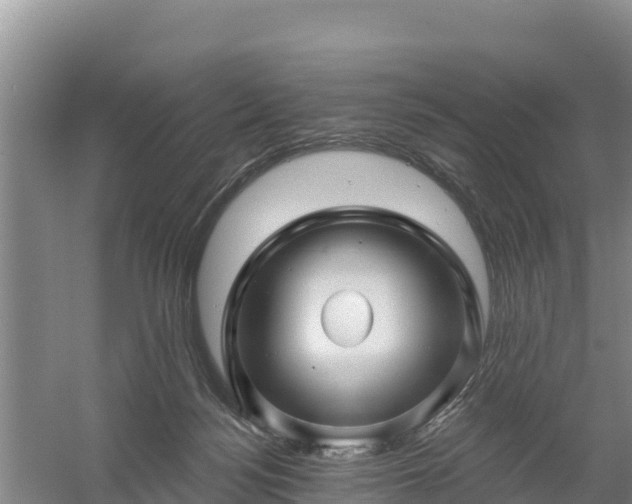 X0000058140172200509302028