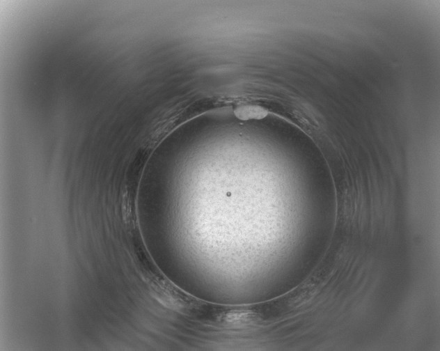 X0000058140173200509302028