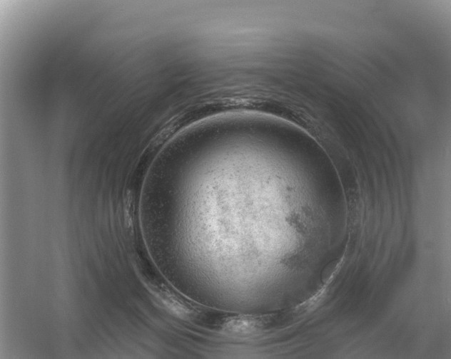 X0000058140174200509302028