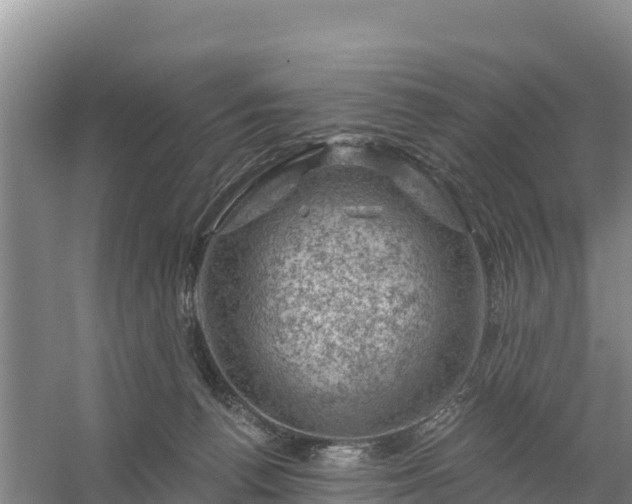 X0000058140176200509302028