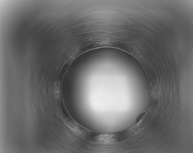 X0000058140179200509302028