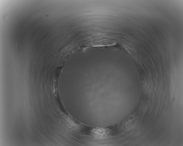 X0000058140181200509302028