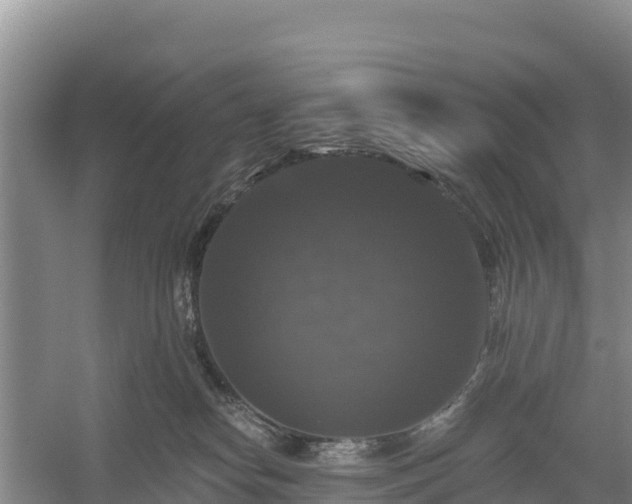 X0000058140182200509302028