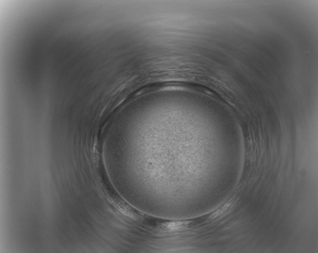 X0000058140184200509302028