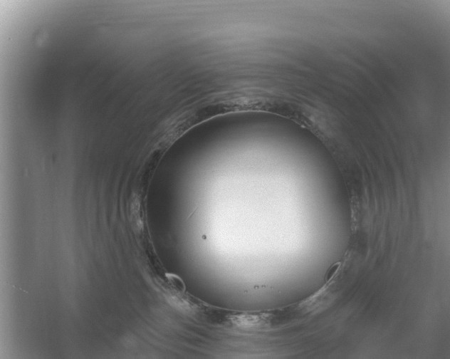 X0000058140187200509302028