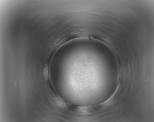 X0000058140190200509302028