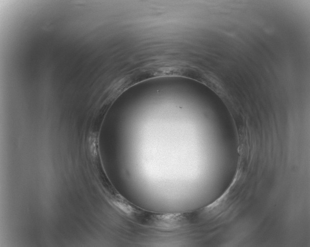 X0000058140191200509302028