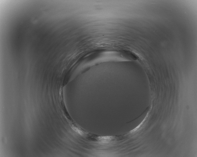 X0000058140192200509302028