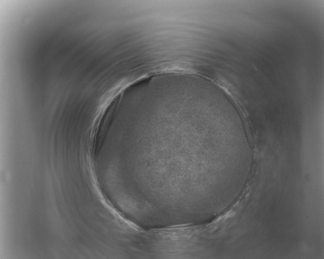 X0000058140193200509302028