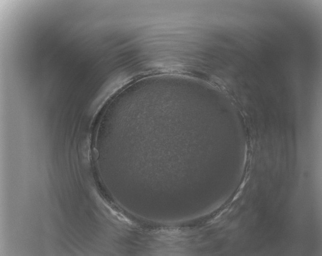 X0000058140194200509302028