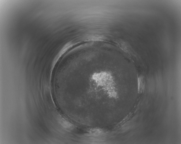 X0000058140195200509302028