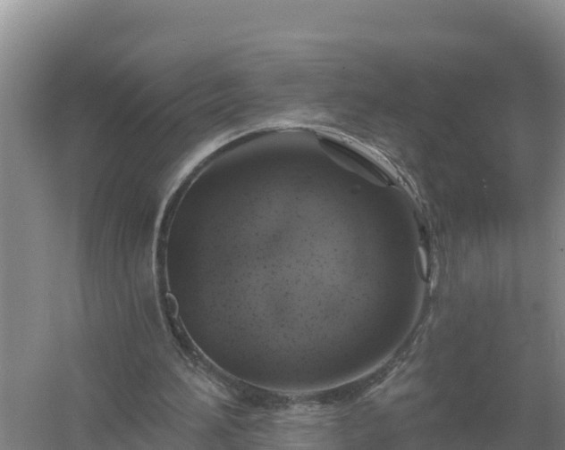 X0000058140196200509302028