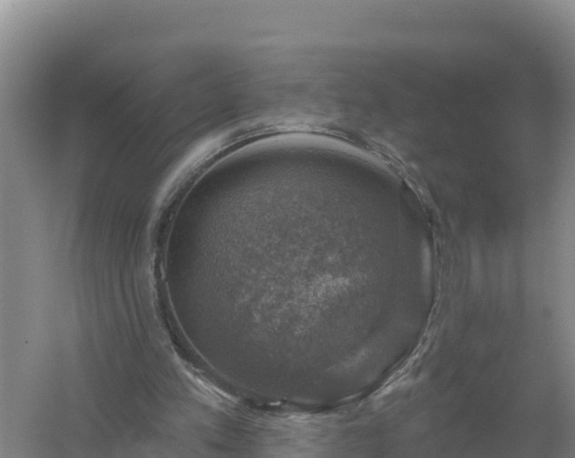 X0000058140197200509302028