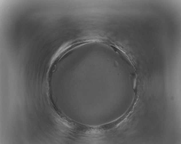 X0000058140198200509302028