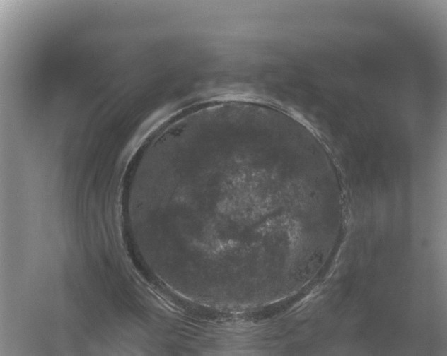 X0000058140199200509302028