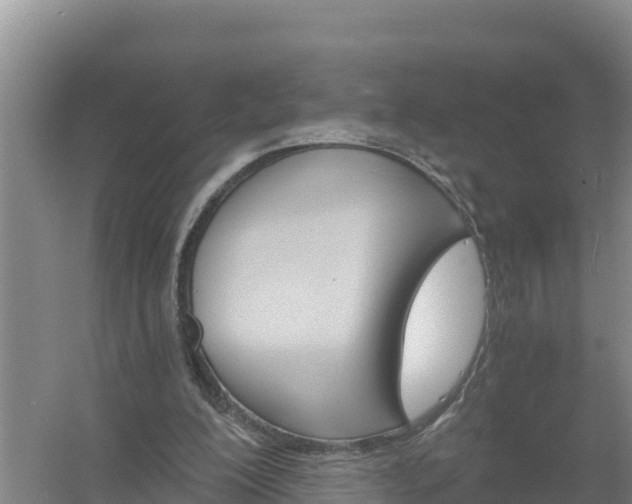 X0000058140200200509302028