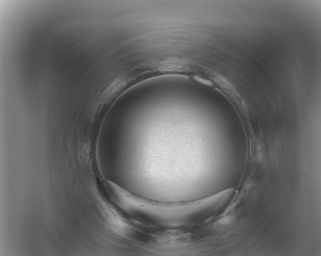 X0000058140201200509302027