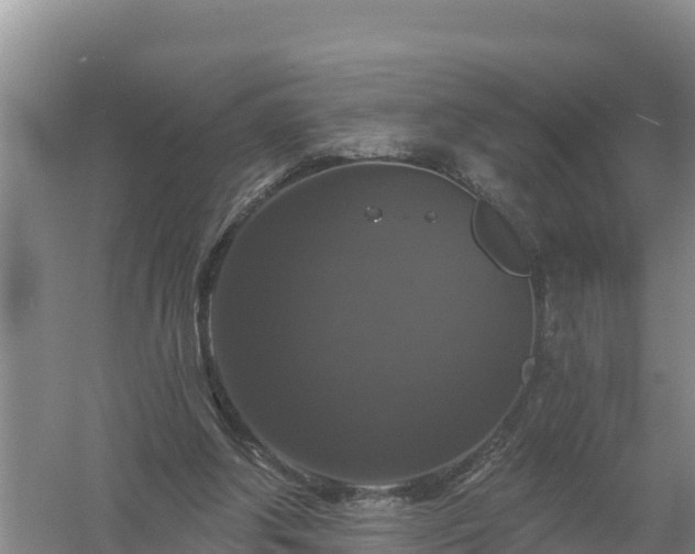 X0000058140202200509302027