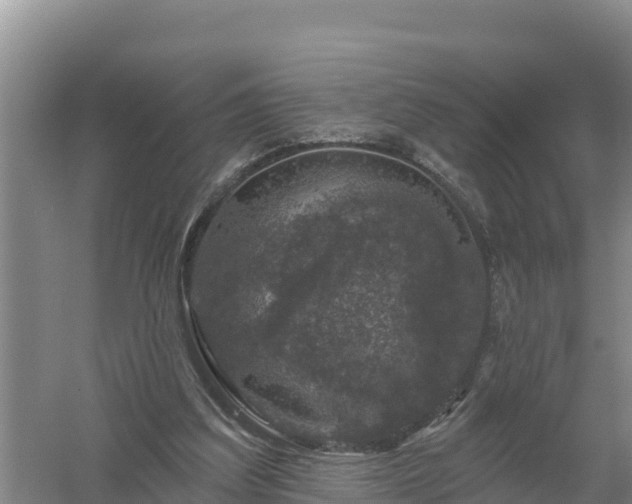 X0000058140203200509302027