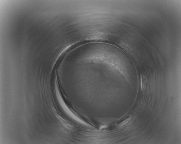 X0000058140204200509302027