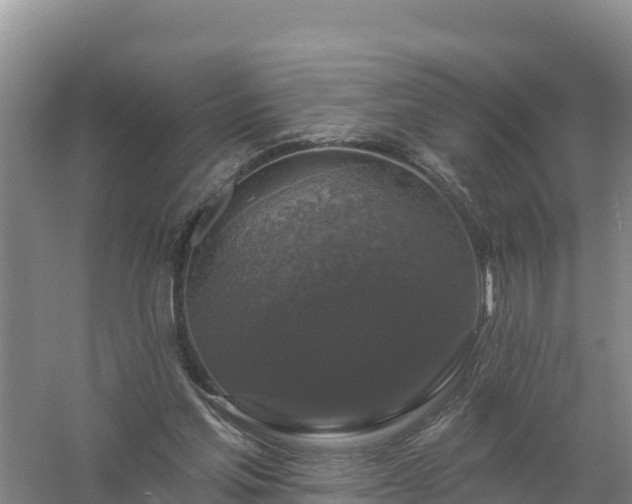 X0000058140205200509302027