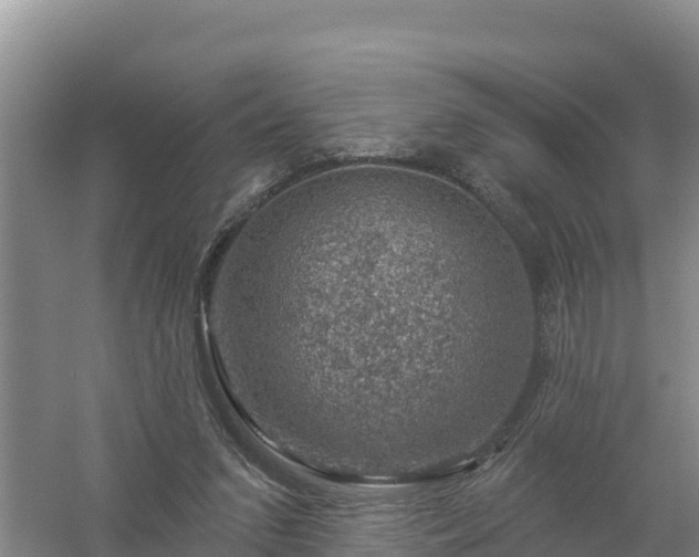 X0000058140207200509302027