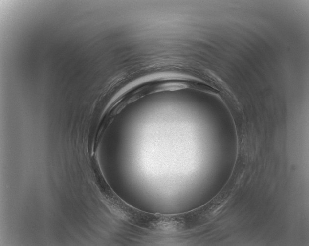 X0000058140209200509302027