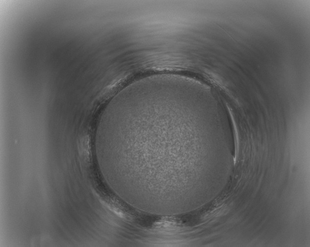 X0000058140211200509302027