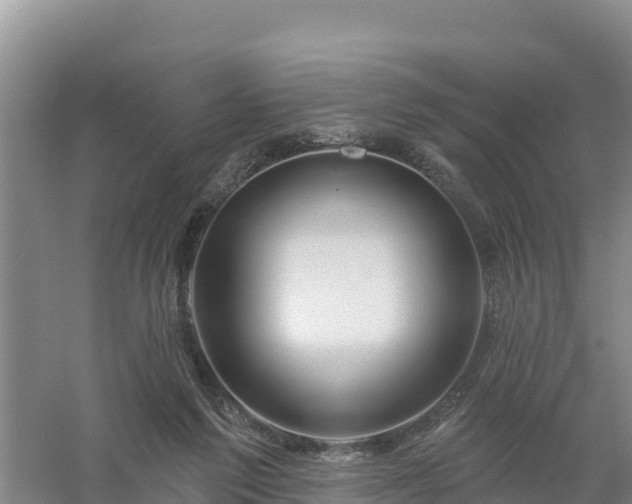 X0000058140213200509302027