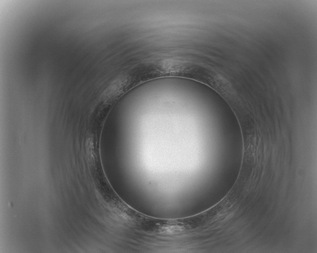 X0000058140220200509302027