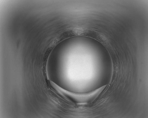 X0000058140221200509302027