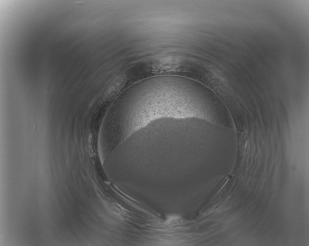 X0000058140224200509302027