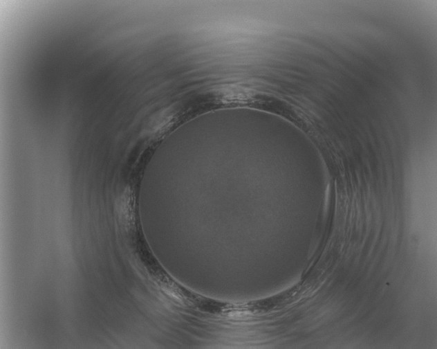 X0000058140228200509302027