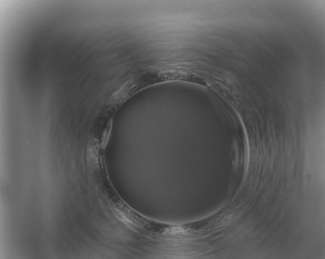 X0000058140231200509302027