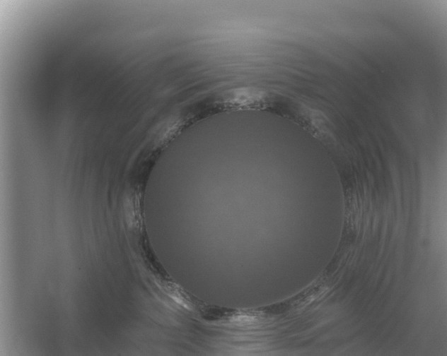 X0000058140236200509302027