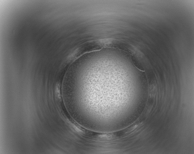 X0000058140238200509302027