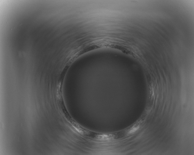 X0000058140239200509302027