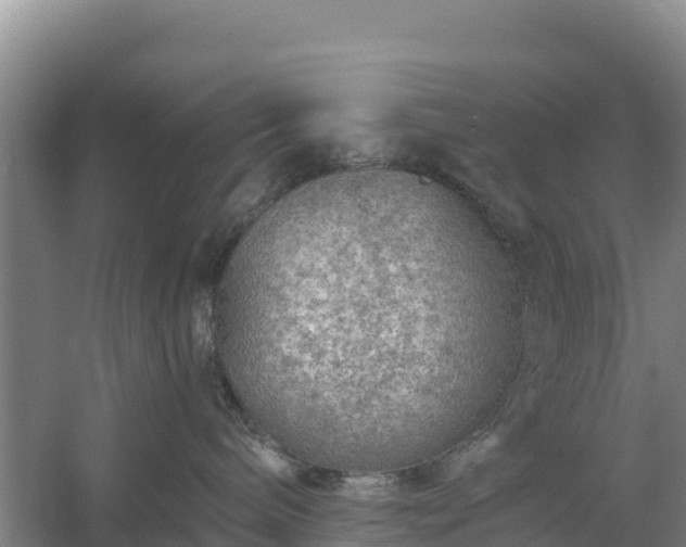 X0000058140240200509302027