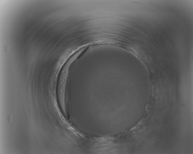 X0000058140241200509302026