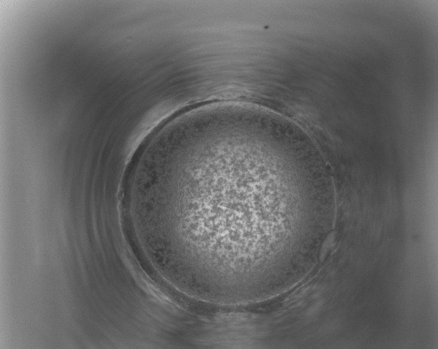 X0000058140242200509302026