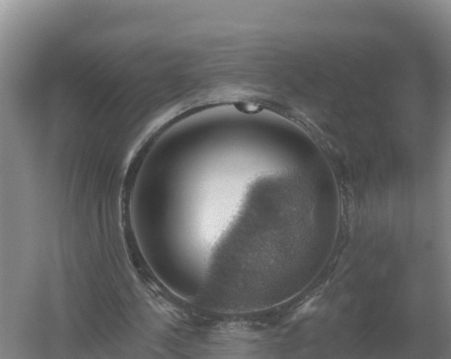 X0000058140244200509302026