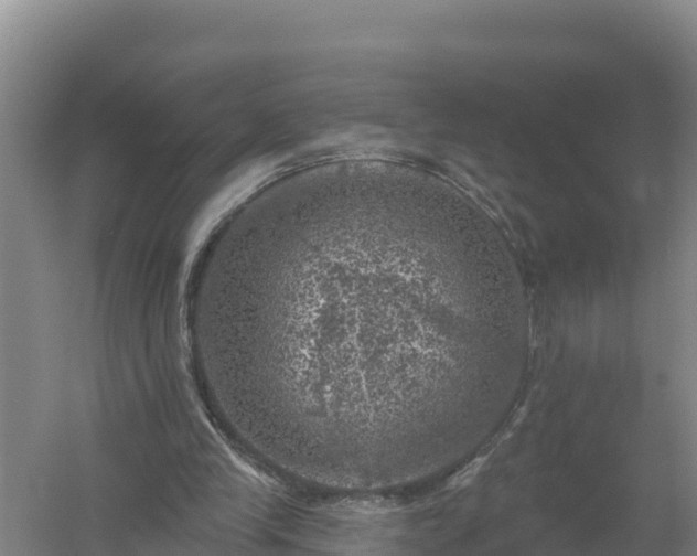 X0000058140245200509302026