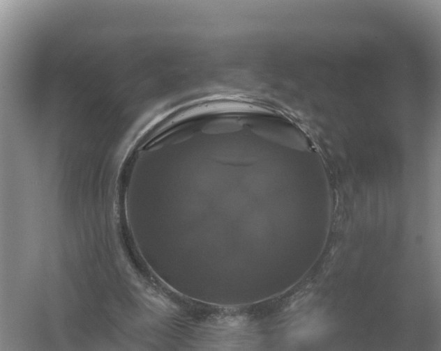 X0000058140247200509302026