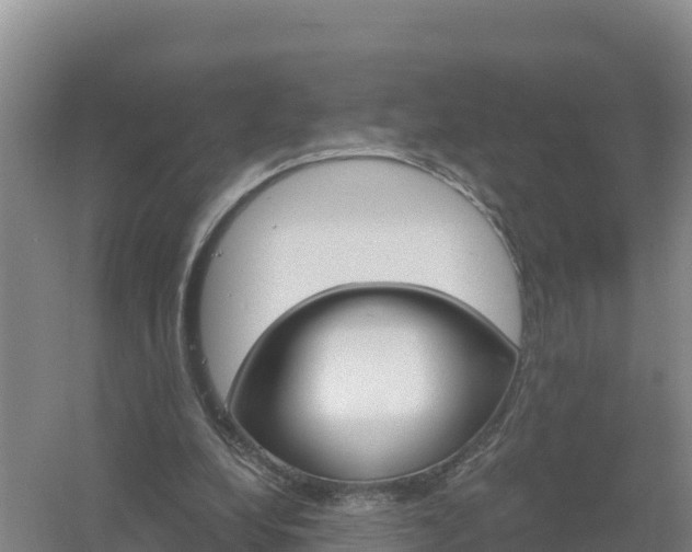 X0000058140248200509302026