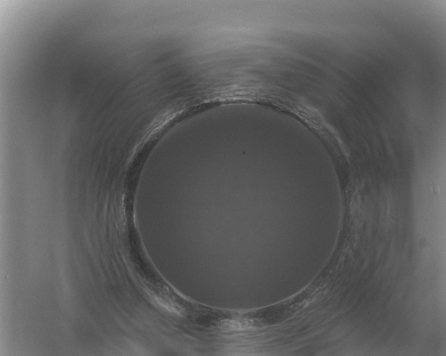 X0000058140250200509302026