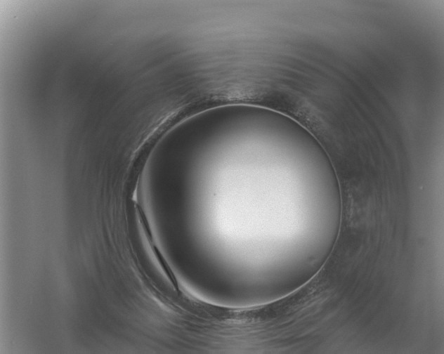 X0000058140251200509302026